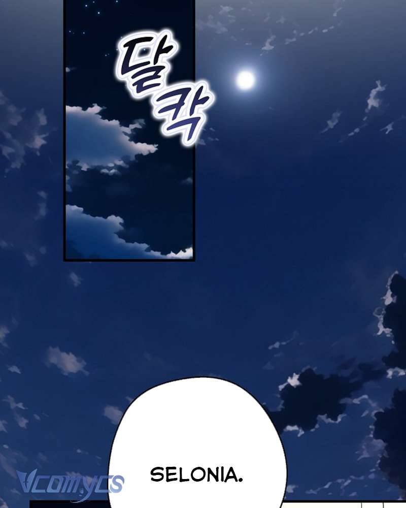 Các Nam Chính Đã Bị Nữ Phụ Cướp Mất: Chapter 47