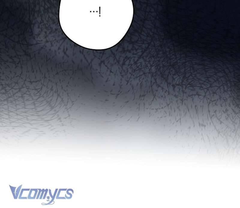 Các Nam Chính Đã Bị Nữ Phụ Cướp Mất: Chapter 47