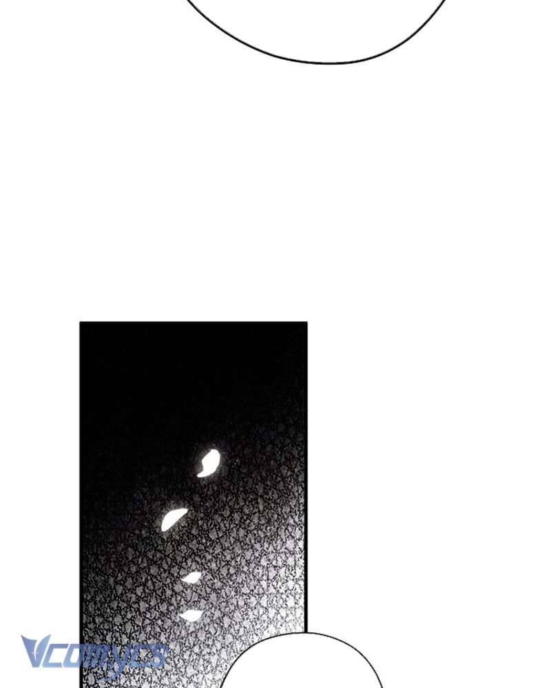 Các Nam Chính Đã Bị Nữ Phụ Cướp Mất: Chapter 47