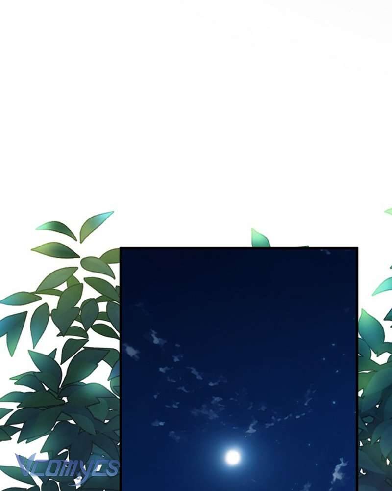 Các Nam Chính Đã Bị Nữ Phụ Cướp Mất: Chapter 50