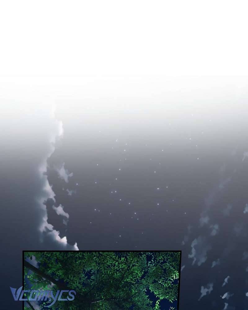 Các Nam Chính Đã Bị Nữ Phụ Cướp Mất: Chapter 51