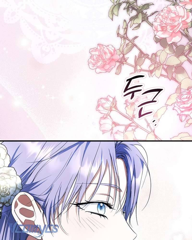 Các Nam Chính Đã Bị Nữ Phụ Cướp Mất: Chapter 51