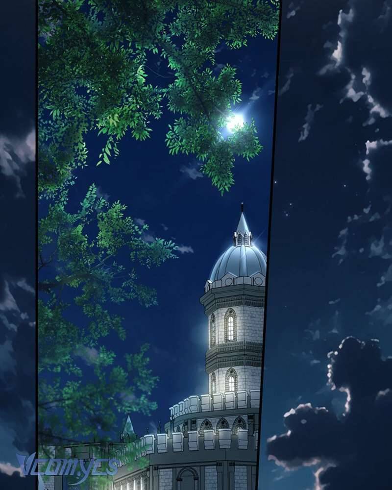 Các Nam Chính Đã Bị Nữ Phụ Cướp Mất: Chapter 51