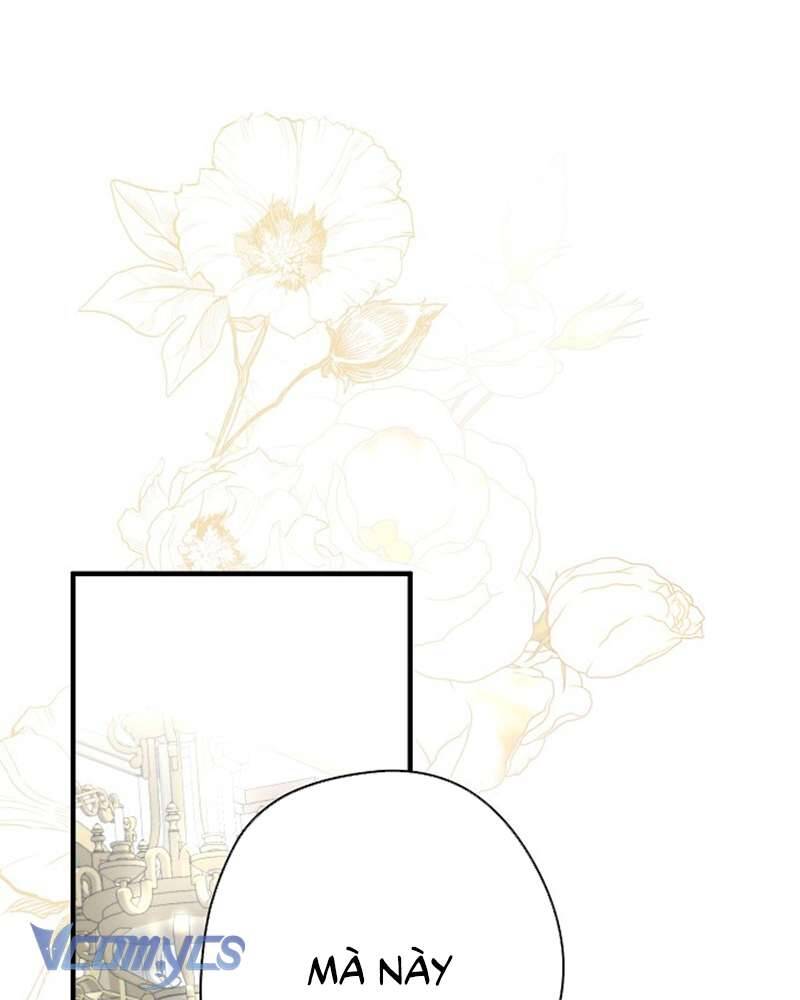 Các Nam Chính Đã Bị Nữ Phụ Cướp Mất: Chapter 52