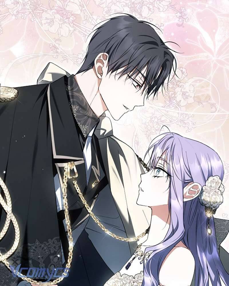 Các Nam Chính Đã Bị Nữ Phụ Cướp Mất: Chapter 52