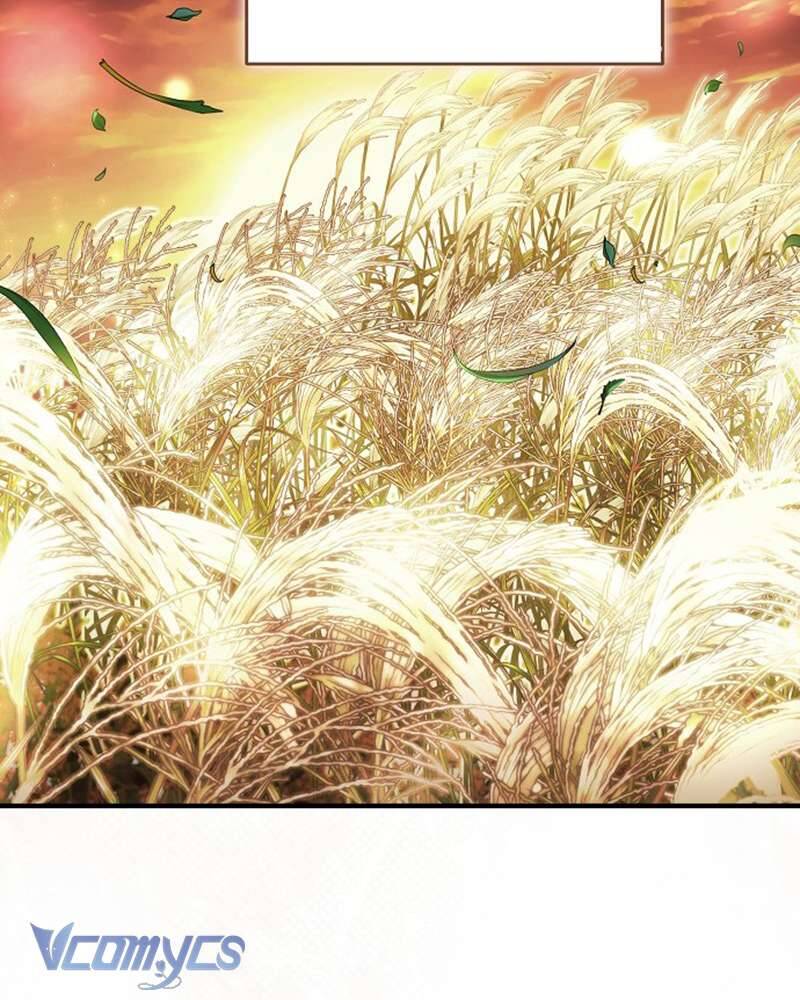 Các Nam Chính Đã Bị Nữ Phụ Cướp Mất: Chapter 55