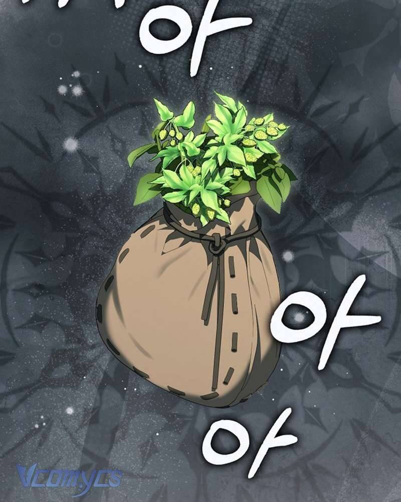 Các Nam Chính Đã Bị Nữ Phụ Cướp Mất: Chapter 55