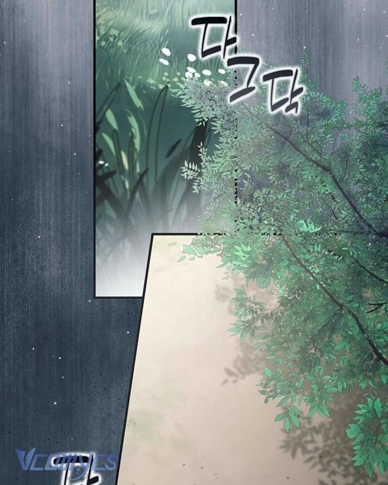 Các Nam Chính Đã Bị Nữ Phụ Cướp Mất: Chapter 59