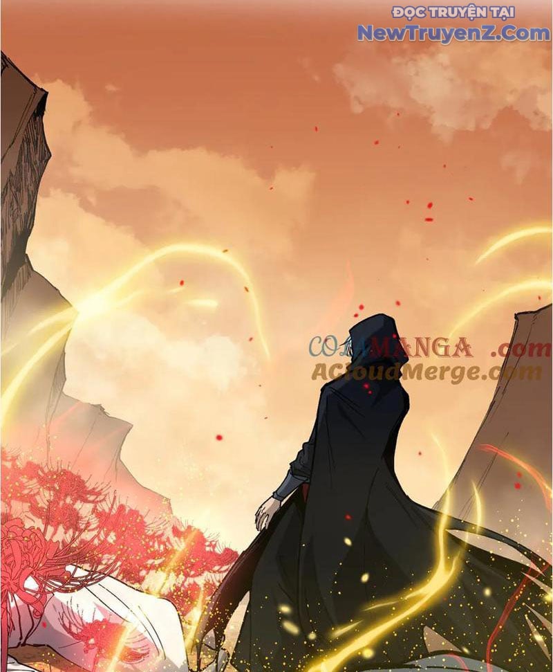 Các Nữ Sư Tôn Đều Muốn Chiếm Hữu Ta: Chapter 15