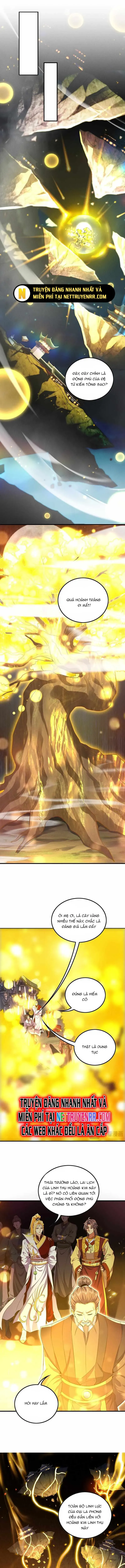 Các Nữ Sư Tôn Đều Muốn Chiếm Hữu Ta: Chapter 8