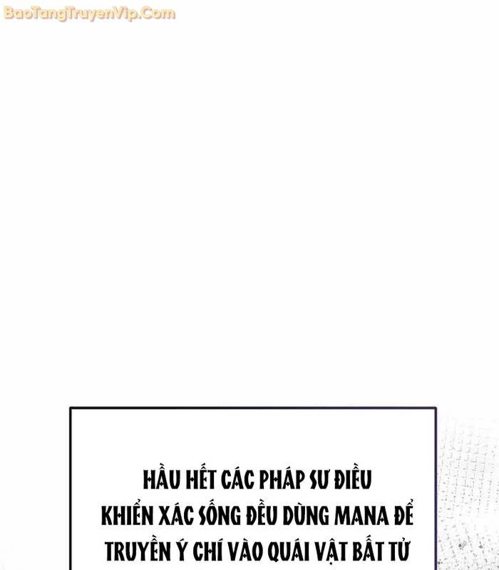 Cách Một Tử Linh Sư Cấp Thảm Họa Nghỉ Hưu: Chapter 2