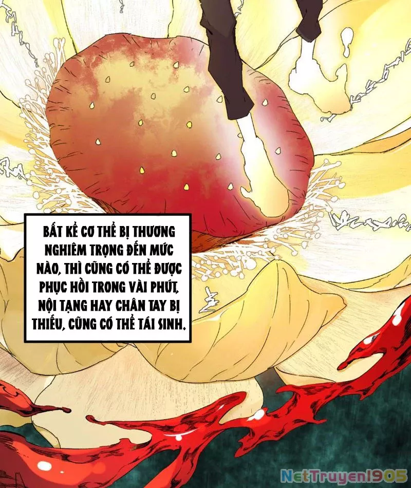 Cấm Chú Sư Mạnh Nhất Lịch Sử: Chapter 0