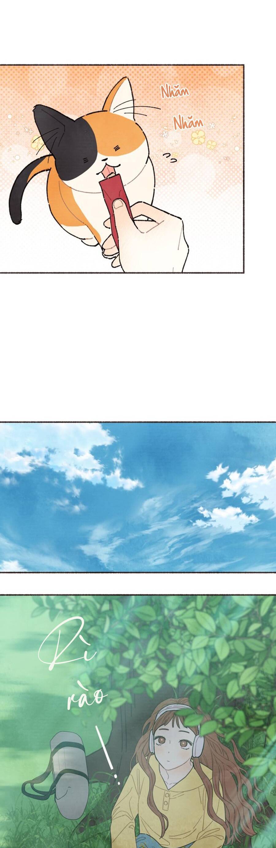 Cảm Xúc Chuyển Giao: Chapter 1