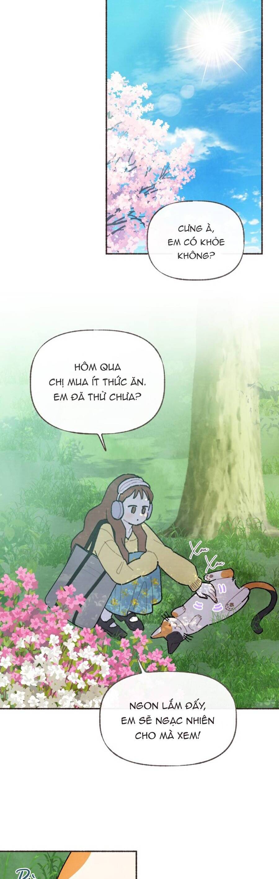 Cảm Xúc Chuyển Giao: Chapter 1