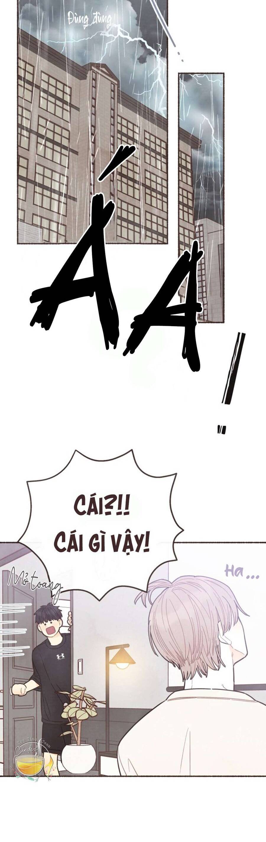 Cảm Xúc Chuyển Giao: Chapter 12