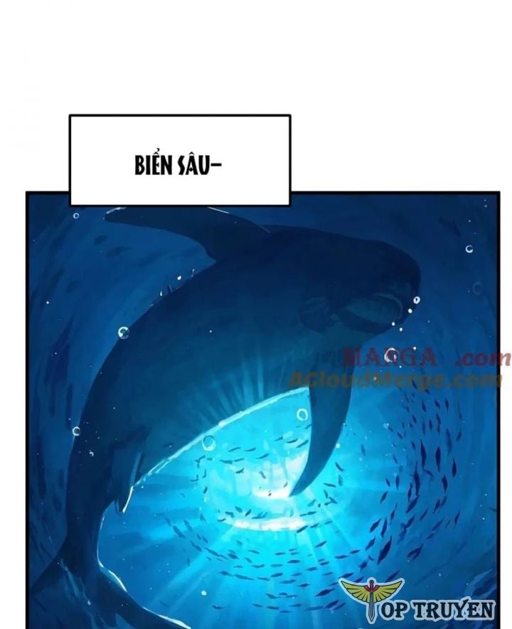 Cao Võ: Hạ Cánh Đến Một Vạn Năm Sau: Chapter 216