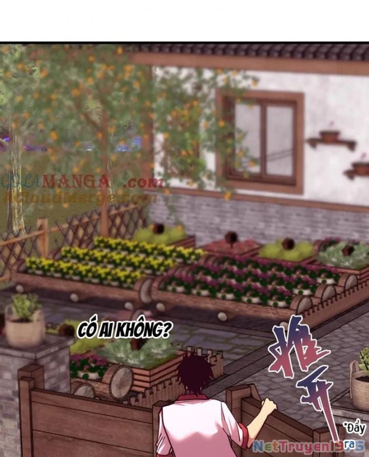 Cao Võ: Hạ Cánh Đến Một Vạn Năm Sau: Chapter 216