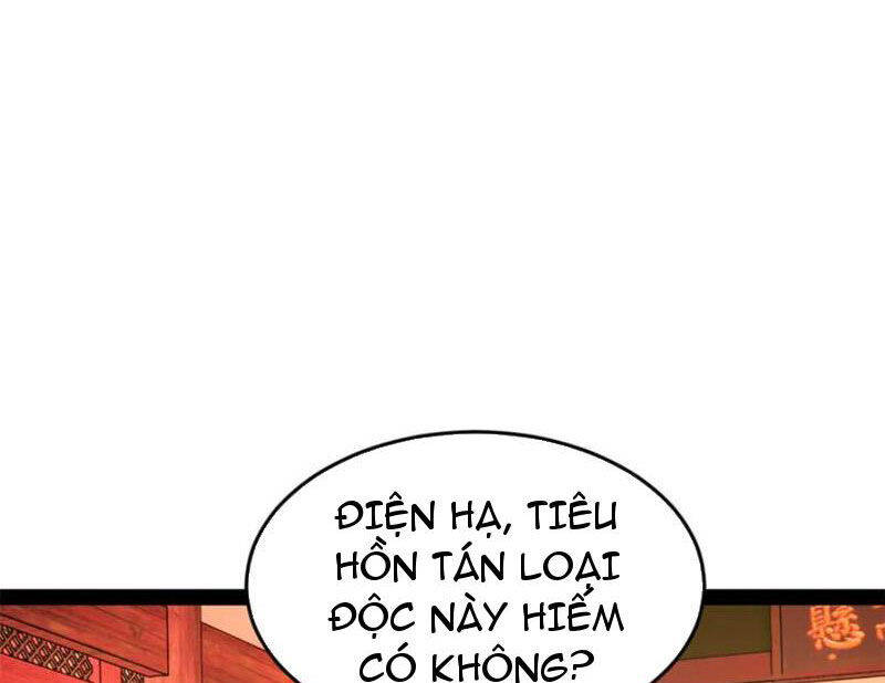 Chàng Rể Mạnh Nhất Lịch Sử: Chapter 243