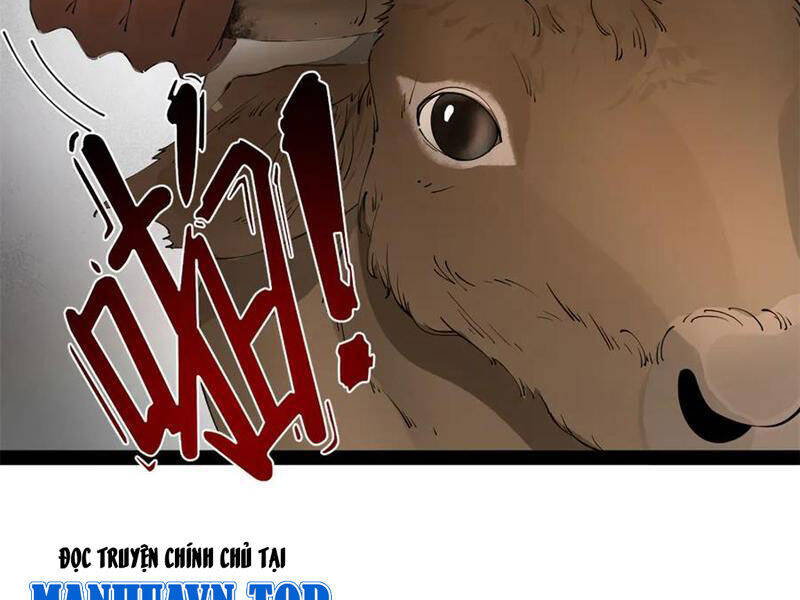 Chàng Rể Mạnh Nhất Lịch Sử: Chapter 247