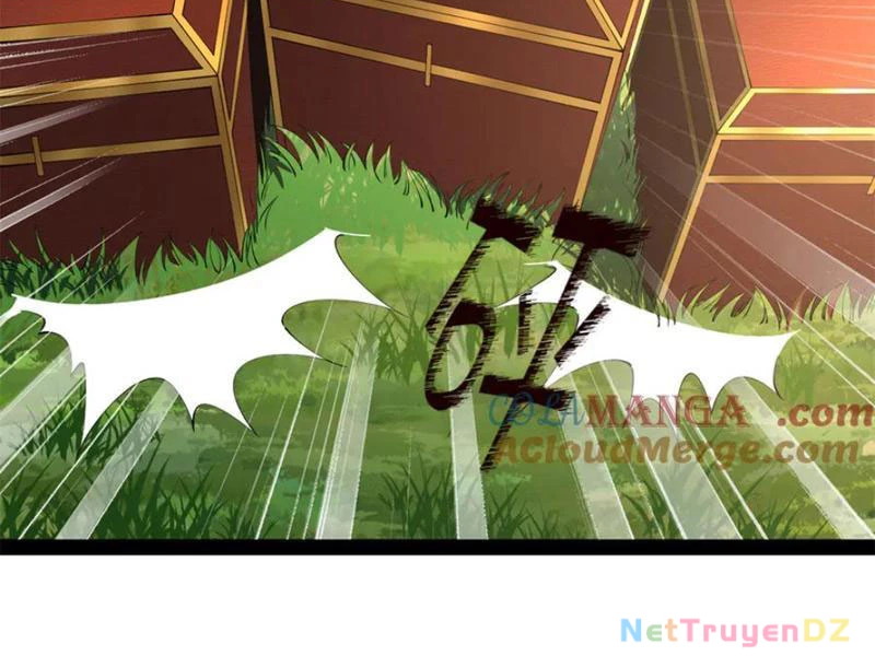 Chàng Rể Mạnh Nhất Lịch Sử: Chapter 255