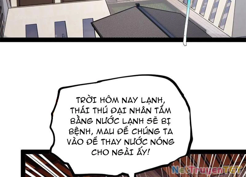 Chàng Rể Mạnh Nhất Lịch Sử: Chapter 265