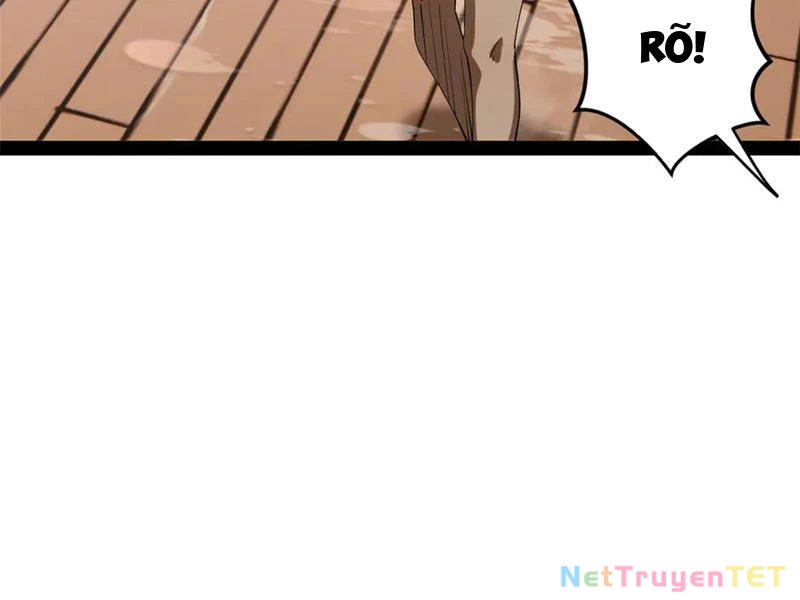 Chàng Rể Mạnh Nhất Lịch Sử: Chapter 265