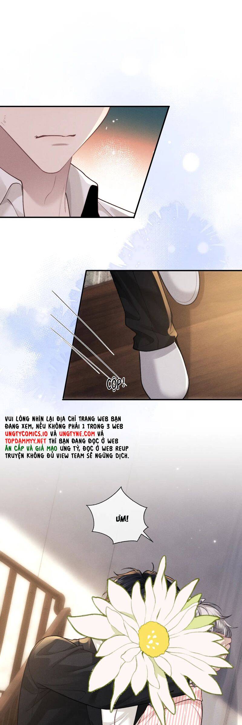 Chấp Sự Thỏ Cụp Tai: Chapter 135