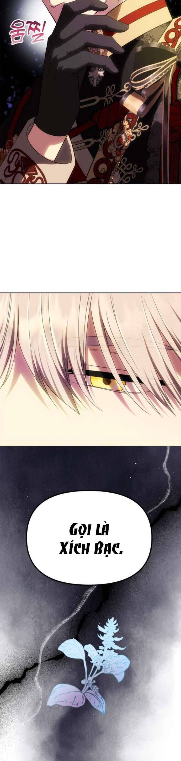 Chỉ Cần Một Người Chồng Là Đủ: Chapter 49