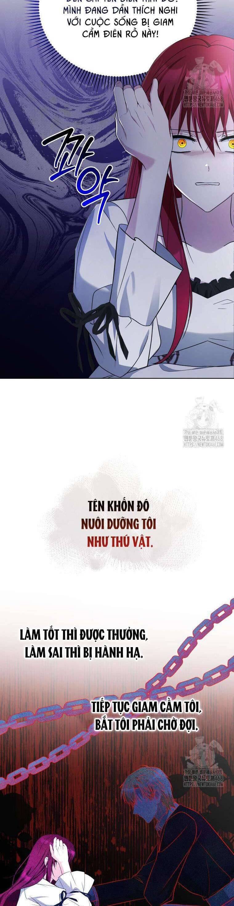 Chiếc Túi Bí Mật Của Tiểu Thư Xấu Xí: Chapter 65