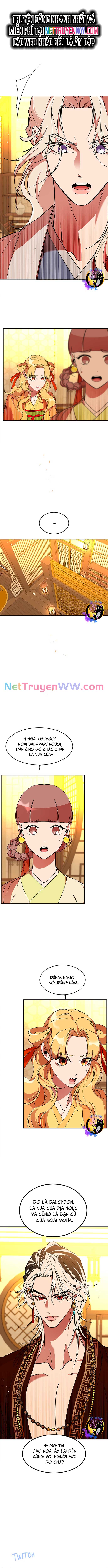 Chiến Lược Săn Hổ Của Nữ Thần: Chapter 62