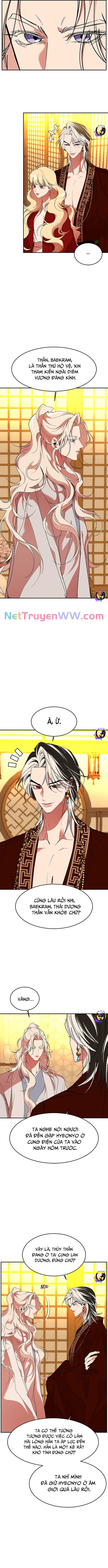 Chiến Lược Săn Hổ Của Nữ Thần: Chapter 62