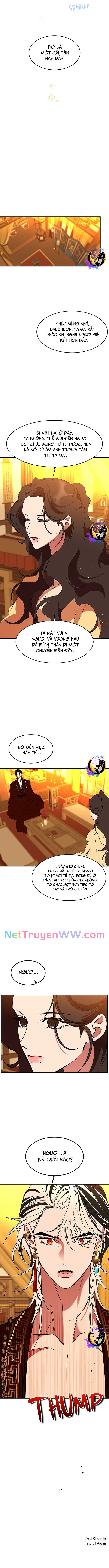 Chiến Lược Săn Hổ Của Nữ Thần: Chapter 62