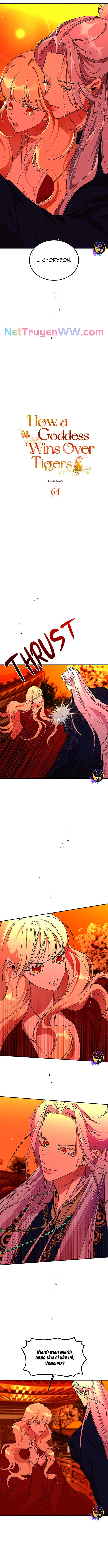 Chiến Lược Săn Hổ Của Nữ Thần: Chapter 64