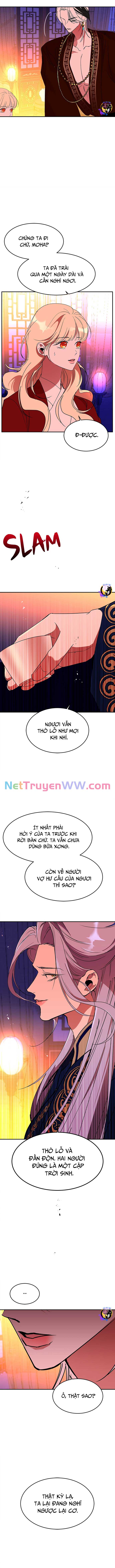 Chiến Lược Săn Hổ Của Nữ Thần: Chapter 64