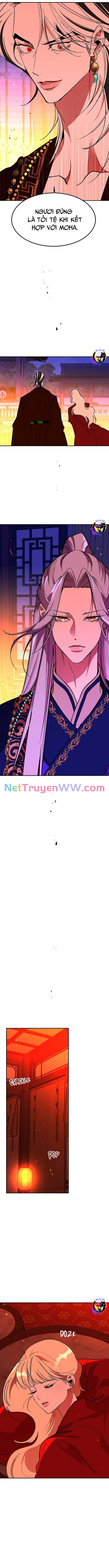 Chiến Lược Săn Hổ Của Nữ Thần: Chapter 64