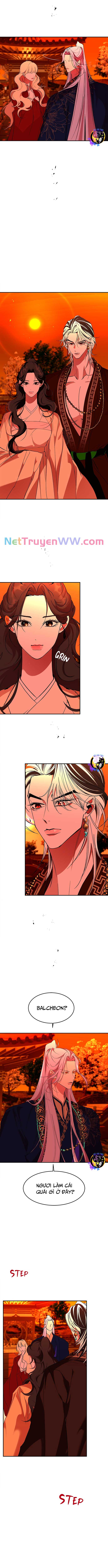 Chiến Lược Săn Hổ Của Nữ Thần: Chapter 64