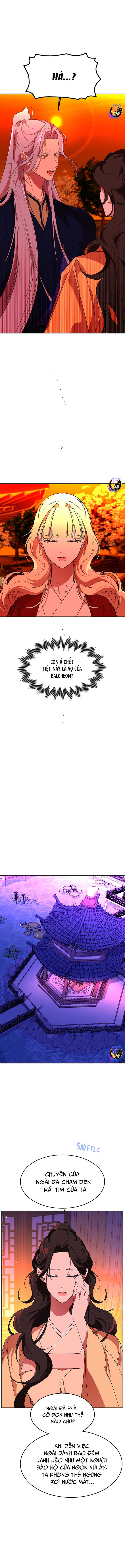 Chiến Lược Săn Hổ Của Nữ Thần: Chapter 64