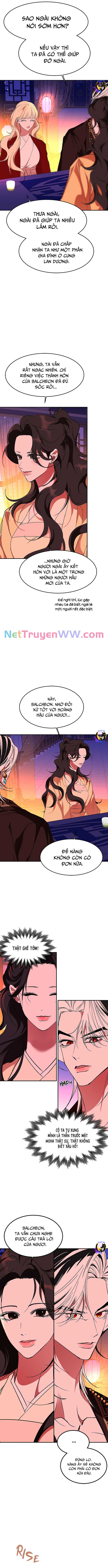 Chiến Lược Săn Hổ Của Nữ Thần: Chapter 64