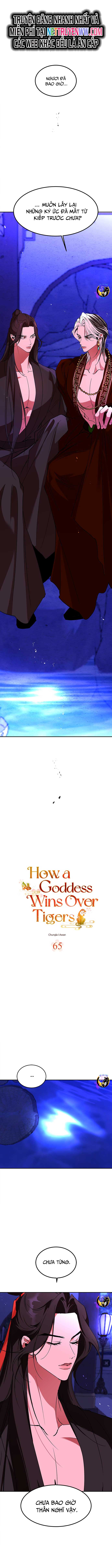 Chiến Lược Săn Hổ Của Nữ Thần: Chapter 65