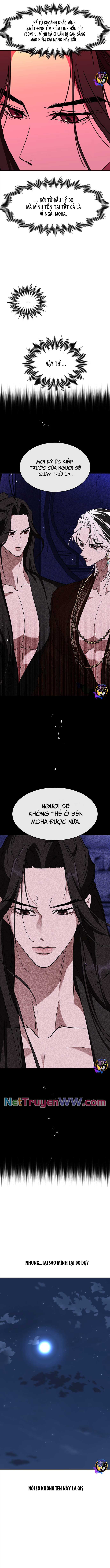 Chiến Lược Săn Hổ Của Nữ Thần: Chapter 65
