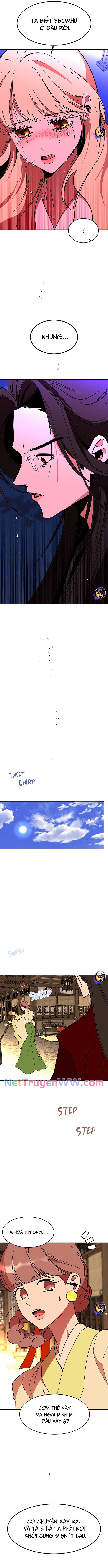 Chiến Lược Săn Hổ Của Nữ Thần: Chapter 65