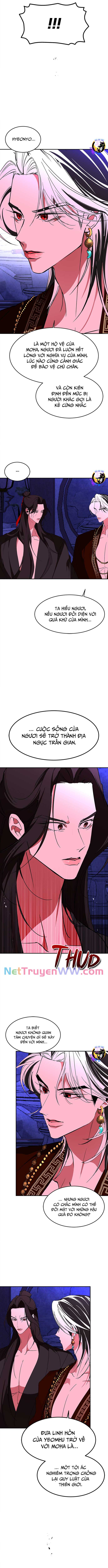 Chiến Lược Săn Hổ Của Nữ Thần: Chapter 65