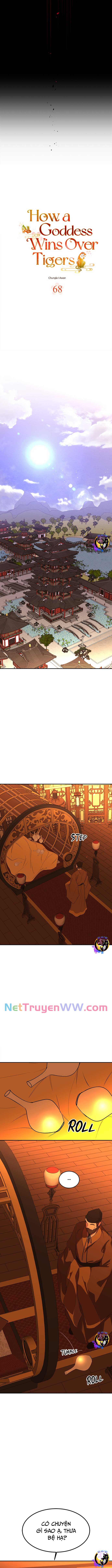Chiến Lược Săn Hổ Của Nữ Thần: Chapter 68