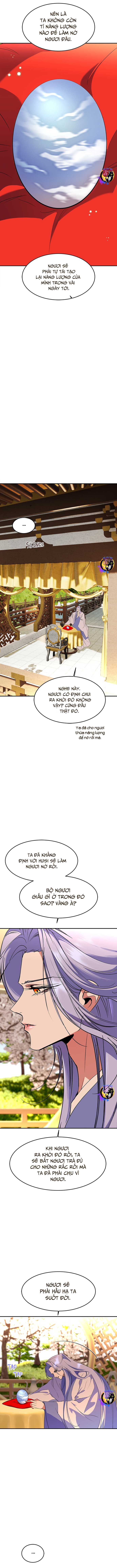 Chiến Lược Săn Hổ Của Nữ Thần: Chapter 77