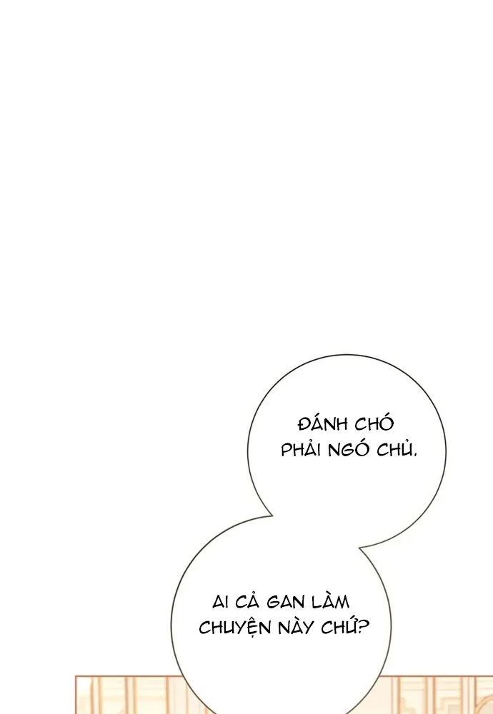 Cho Đến Khi Nữ Chính Thực Sự Xuất Hiện: Chapter 21