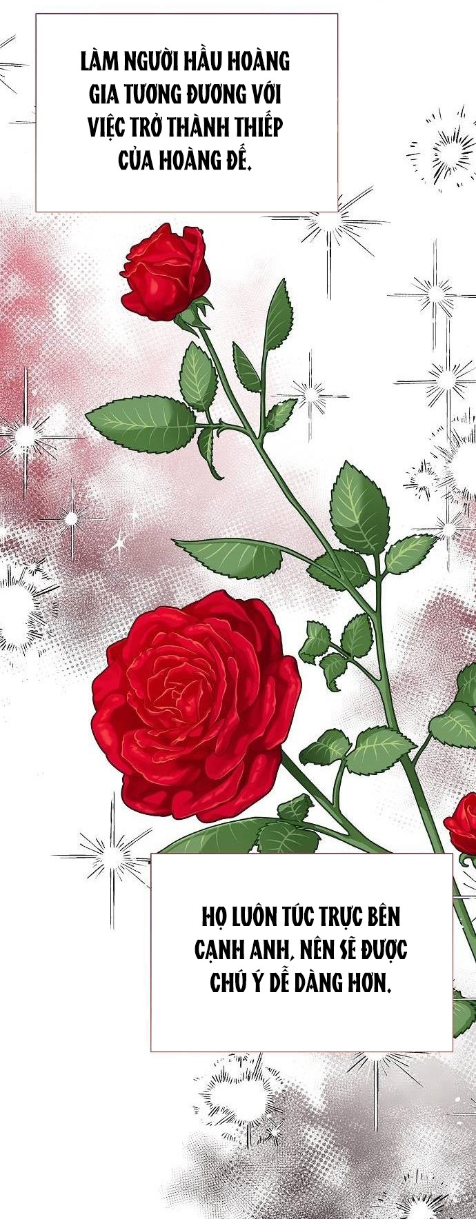 Cho Đến Khi Nữ Chính Thực Sự Xuất Hiện: Chapter 28