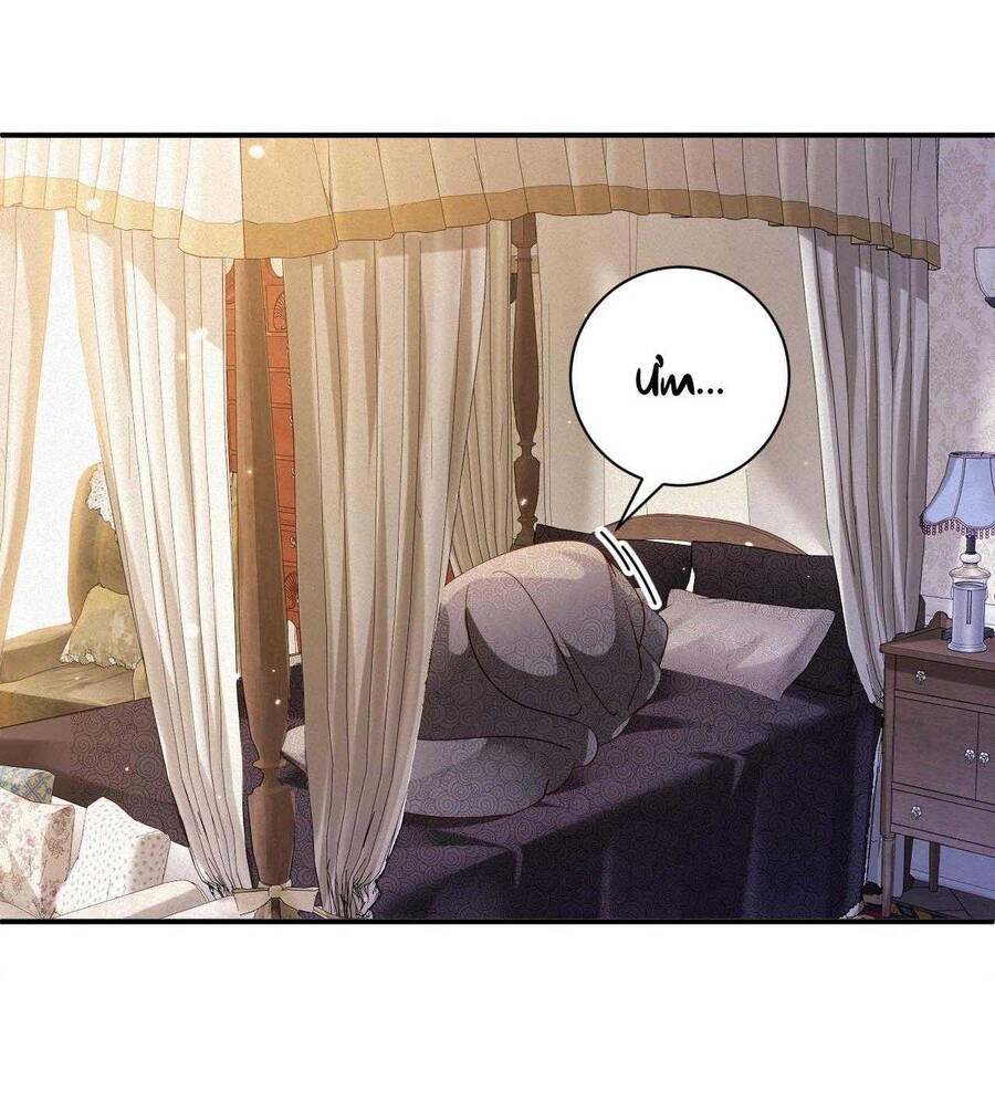 Chồng Cũ Muốn Tái Hôn Lần Nữa: Chapter 81