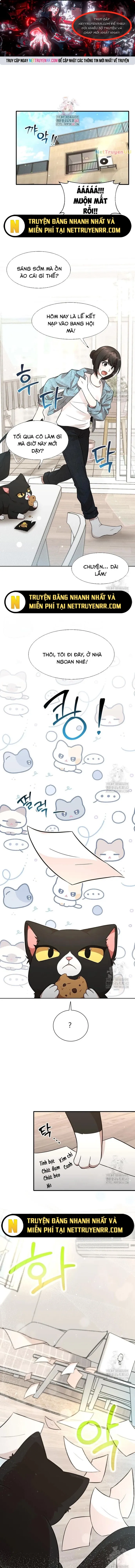 Chủ Xe Thức Ăn Nhanh Trong Ngục Tối: Chapter 8