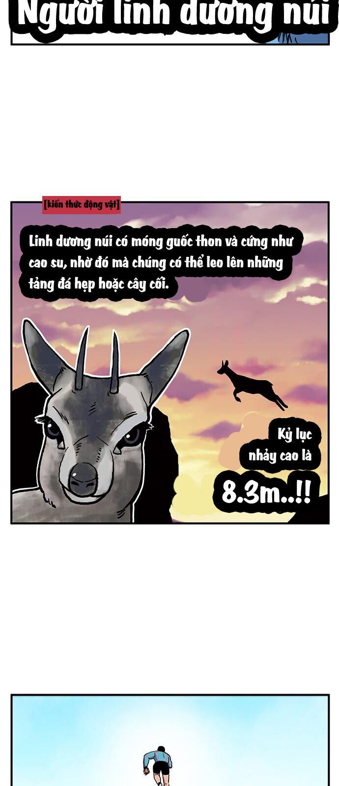 Chúa Tể Muôn Loài: Chapter 11