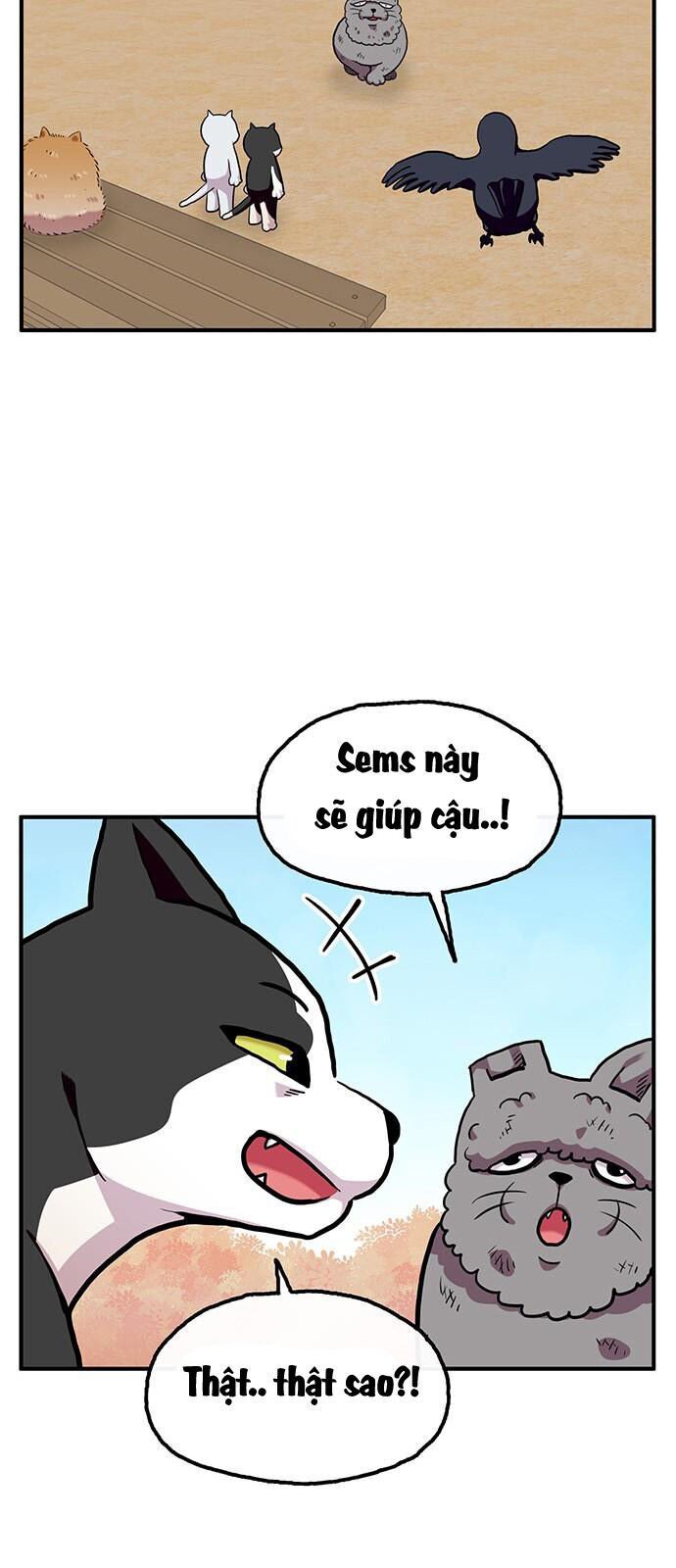 Chúa Tể Muôn Loài: Chapter 26